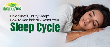 sleep cycle