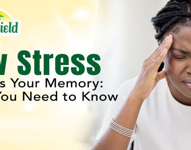 stress and memory