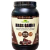 Naturesfield Mass Gainer