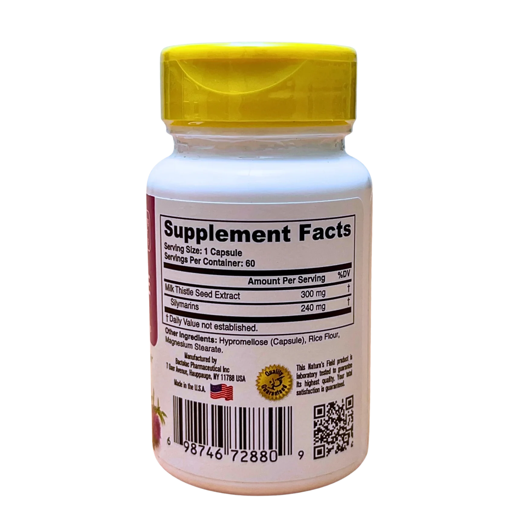 Milk Thistle Facts milk thistle extracts supplements facts