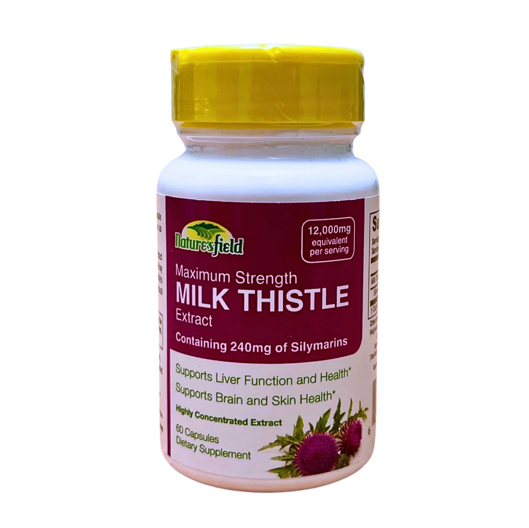 milk thistle extracts