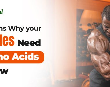 amino acids