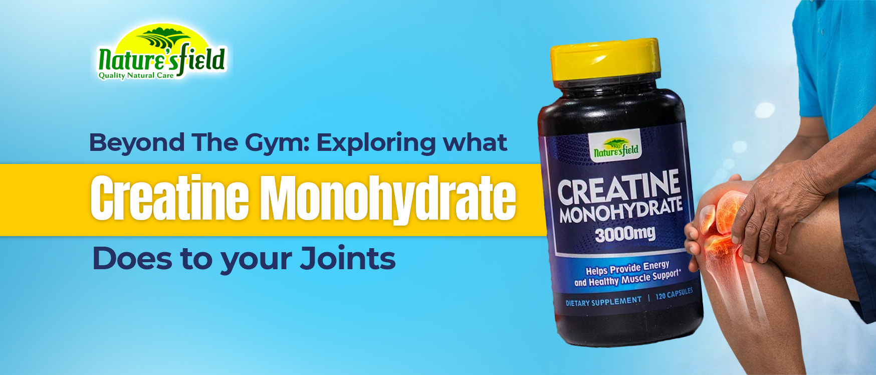 creatine monohydrate and joints