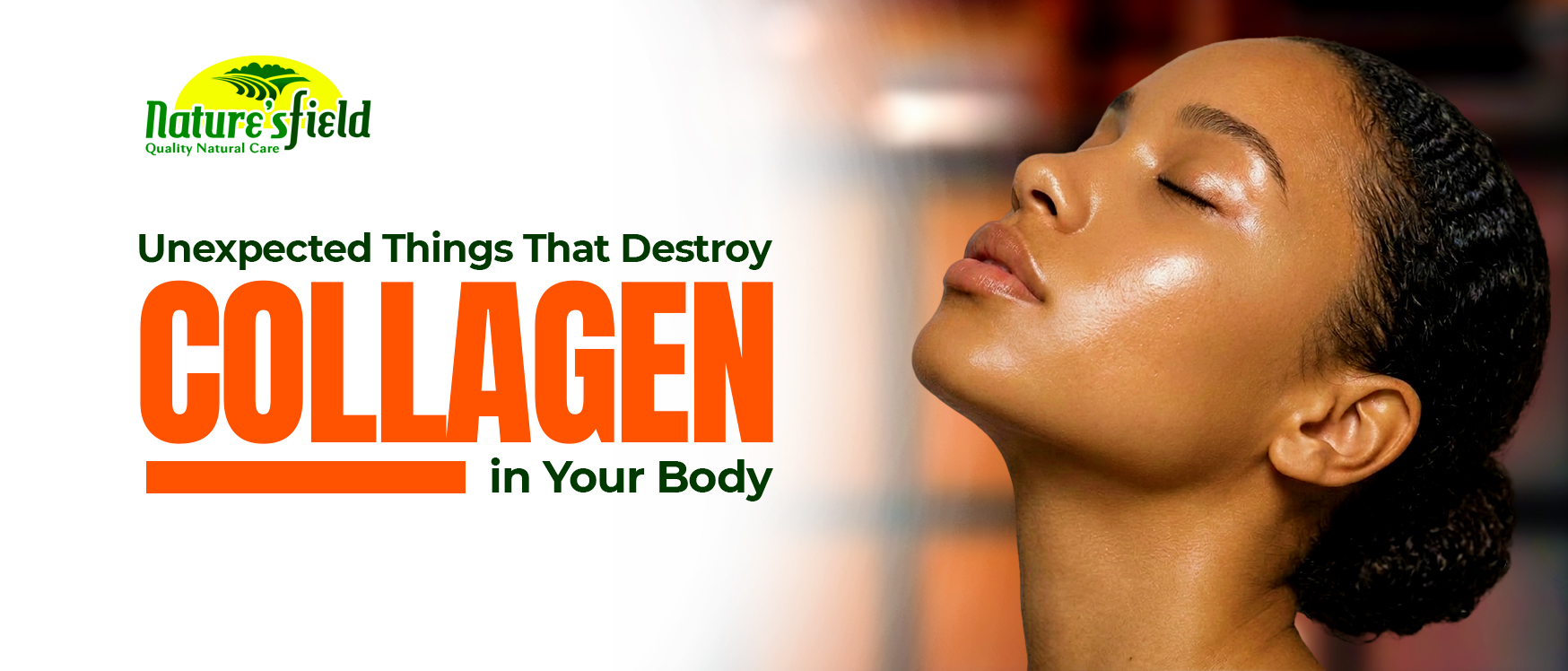 collagen in body